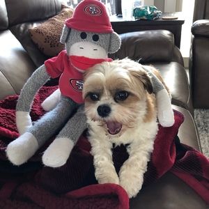 Meet your Posher, Chris